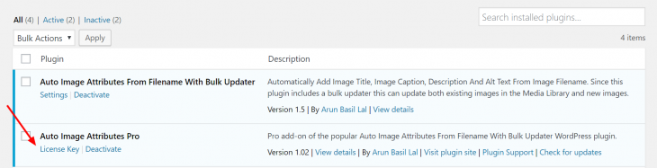 License Key Link In Plugins List