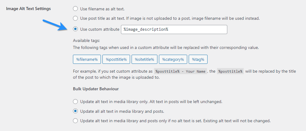 Using Image_description Custom Attribute Tag As Alt Text