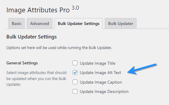 Bulk Updater Settings Tab Configured To Update Only Image Alt Text 1
