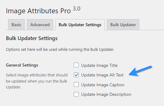 Bulk Updater Settings Tab Configured To Update Only Image Alt Text