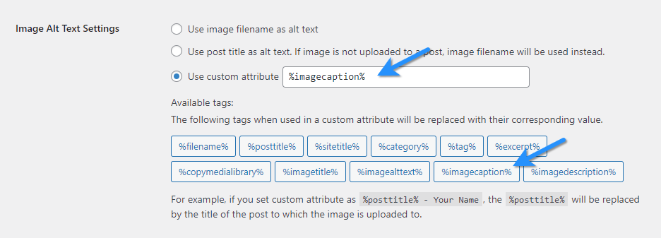 Step 2 Configure Image Alt Text Settings In Advanced Tab To Use Image Captions As Alt Text