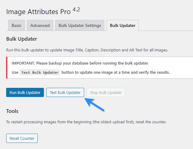 Test Bulk Updater Button