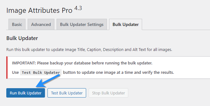 Run Bulk Updater 4.3